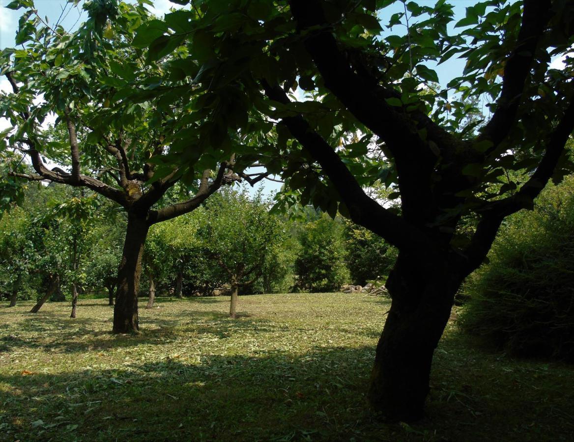 Cascina Cavalli Astino Villa Bergamo Dış mekan fotoğraf