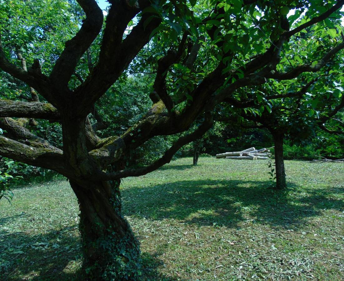 Cascina Cavalli Astino Villa Bergamo Dış mekan fotoğraf